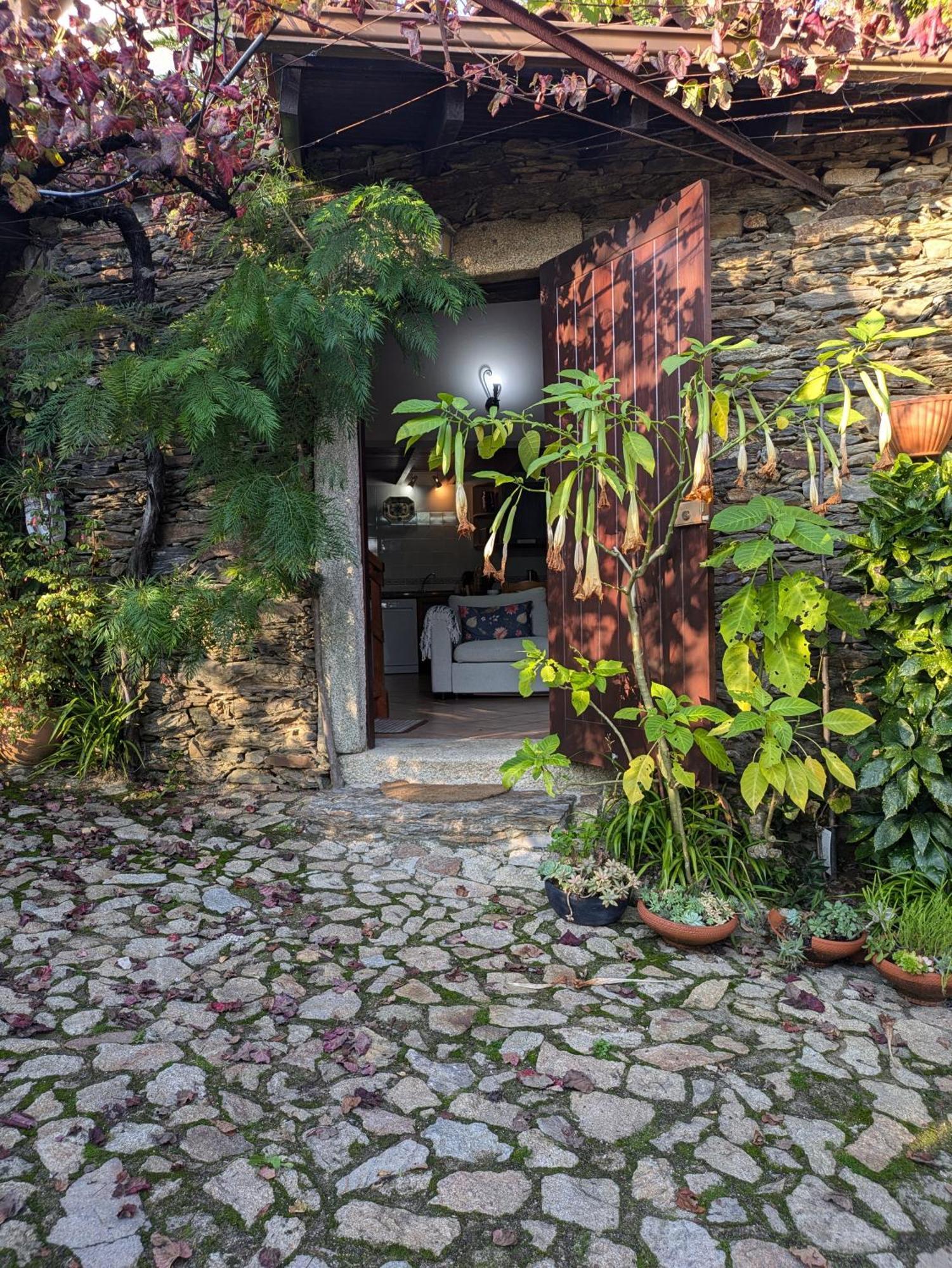 Вилла Casa Do Valo Amonde Экстерьер фото