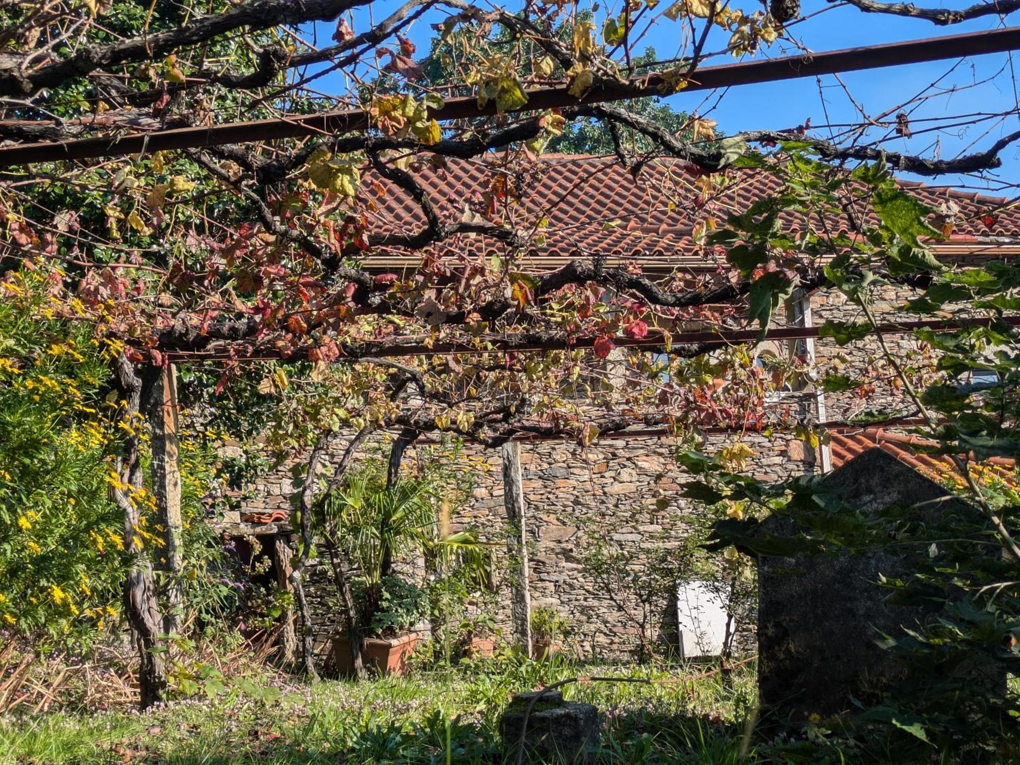 Вилла Casa Do Valo Amonde Экстерьер фото