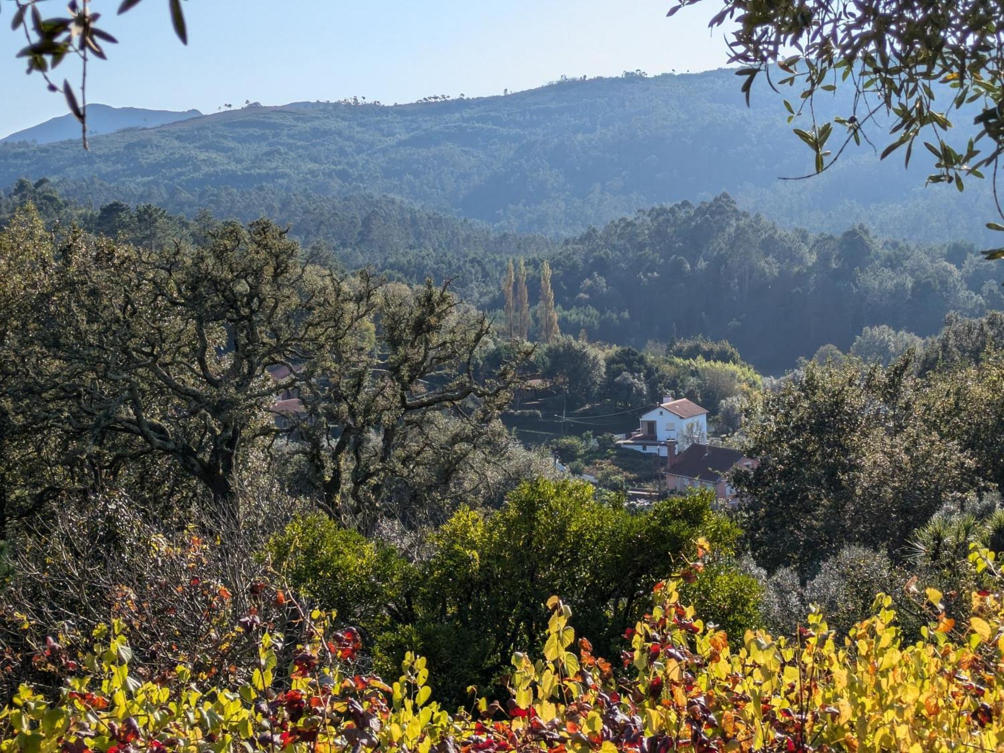Вилла Casa Do Valo Amonde Экстерьер фото