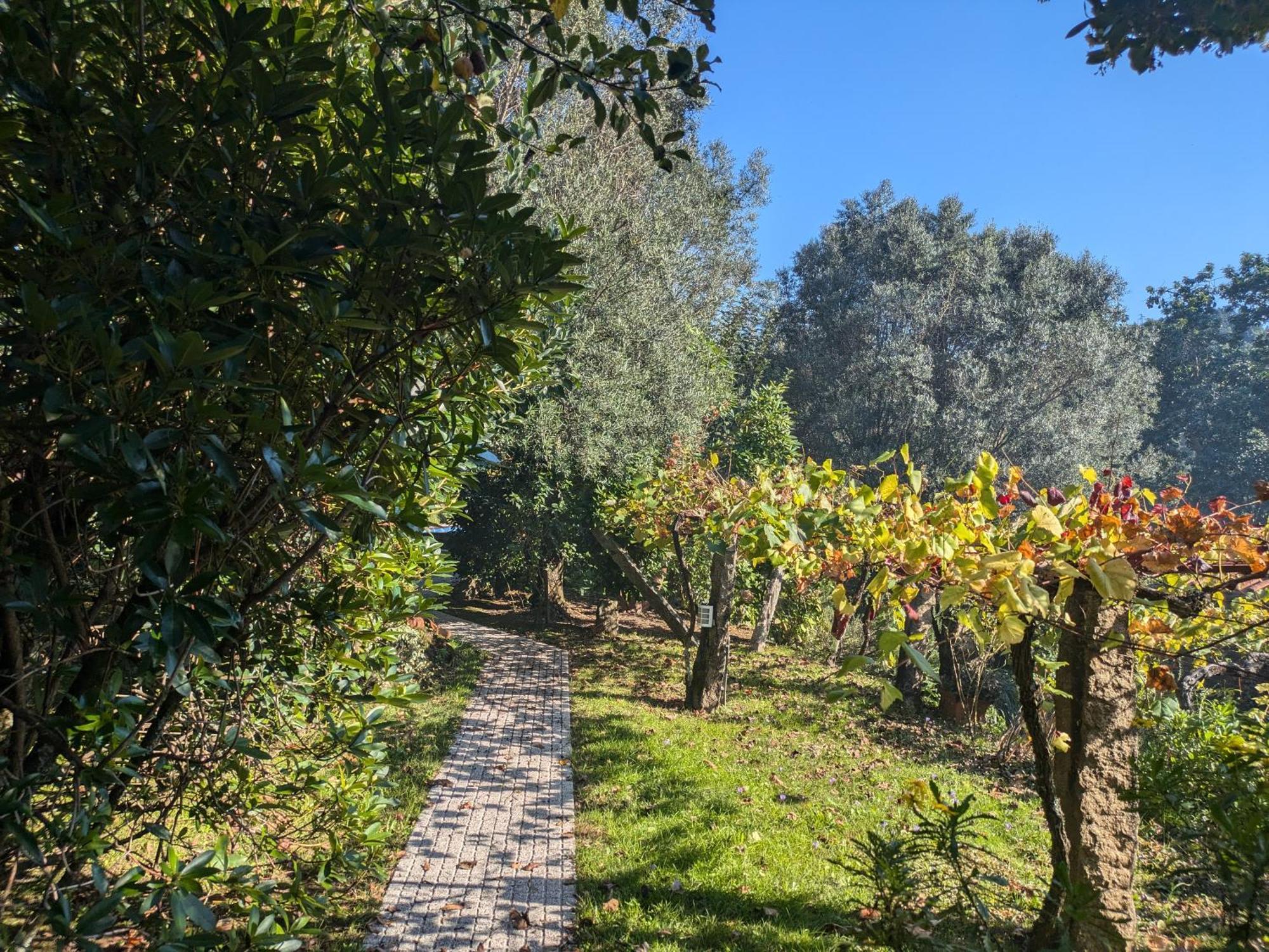 Вилла Casa Do Valo Amonde Экстерьер фото