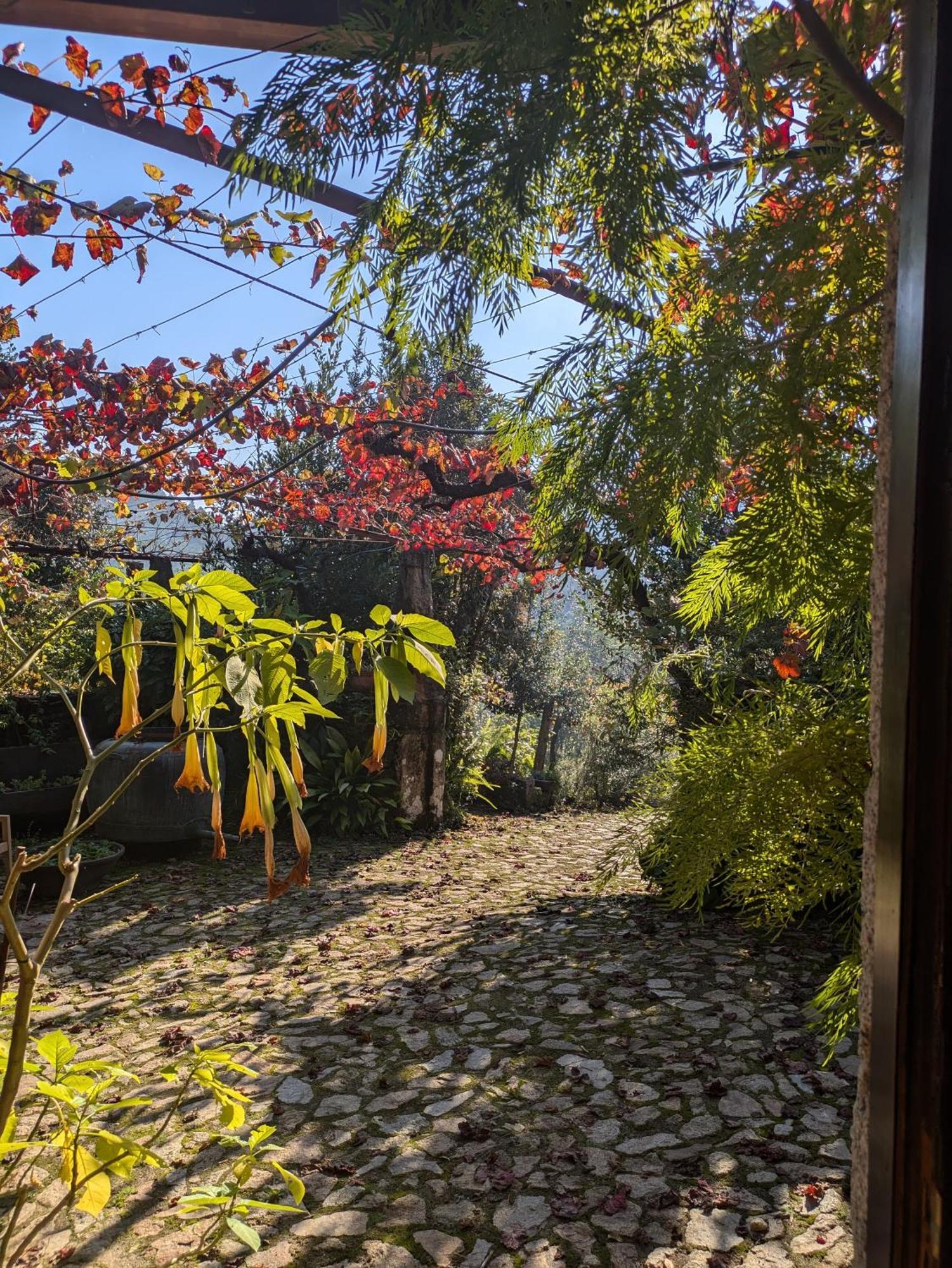 Вилла Casa Do Valo Amonde Экстерьер фото