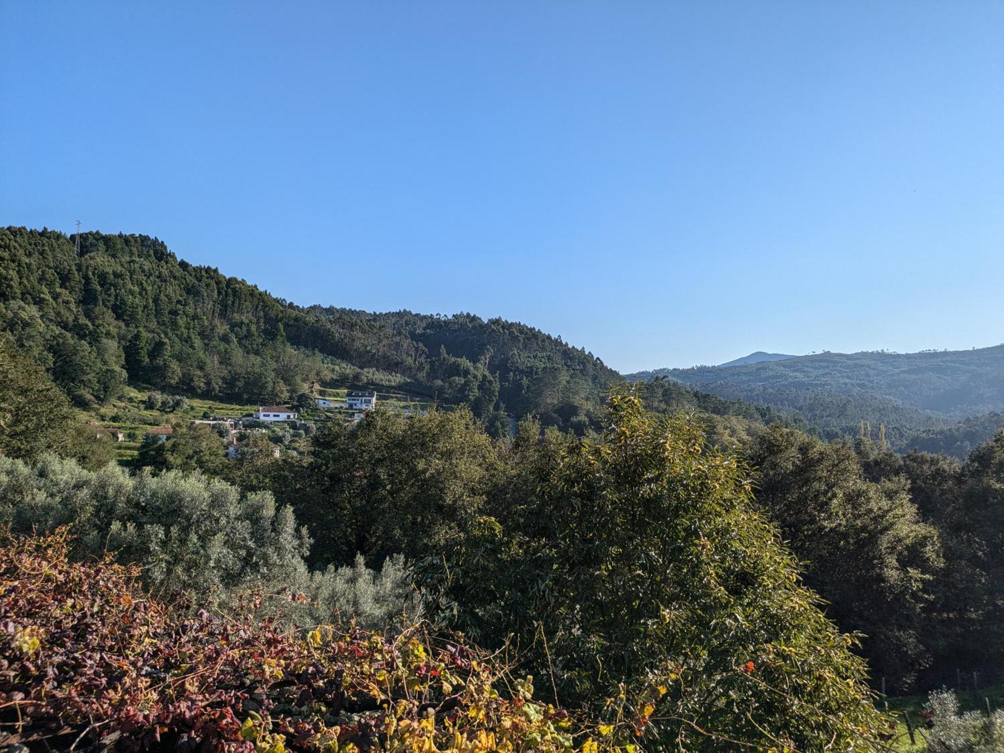 Вилла Casa Do Valo Amonde Экстерьер фото