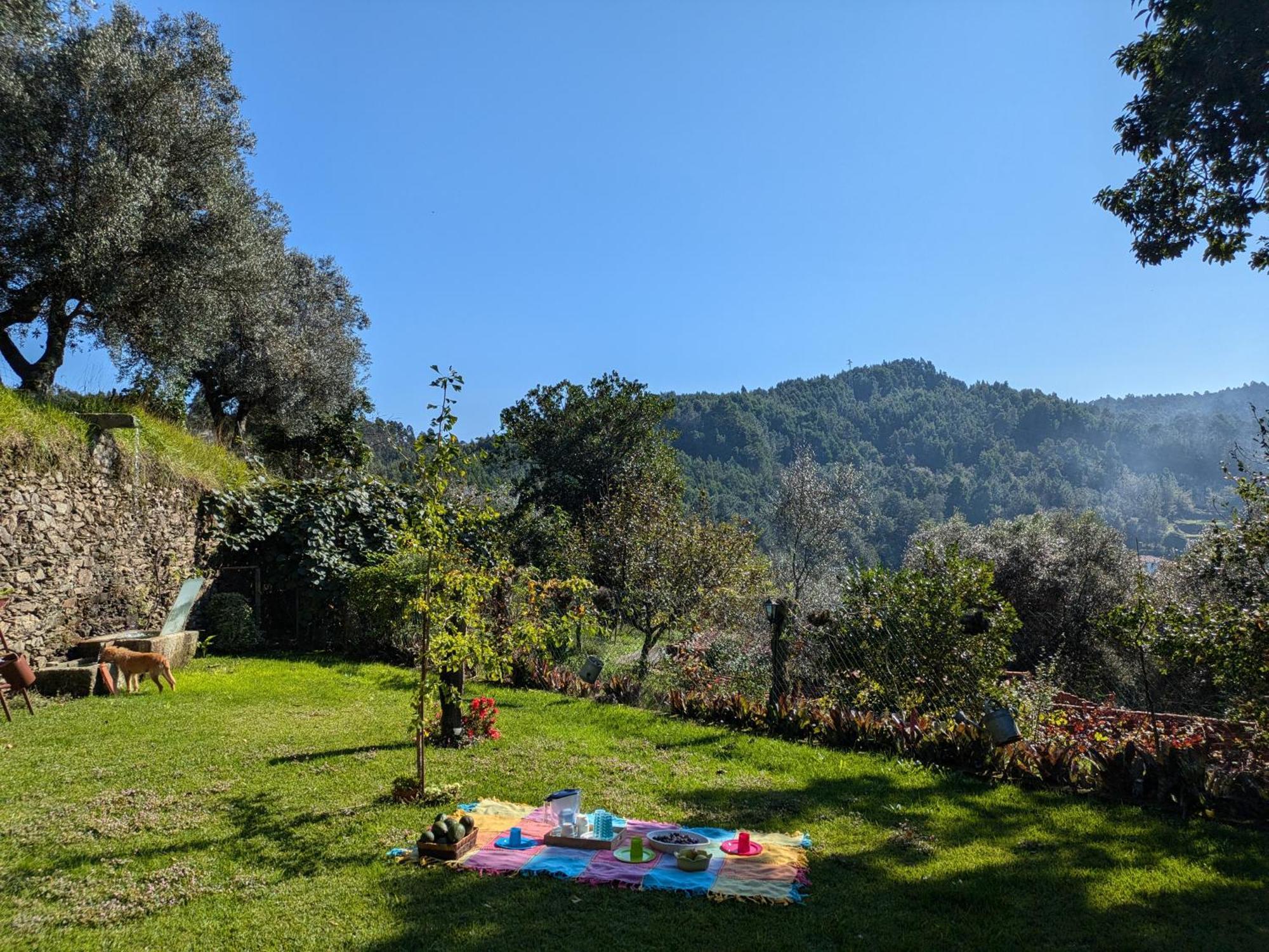 Вилла Casa Do Valo Amonde Экстерьер фото